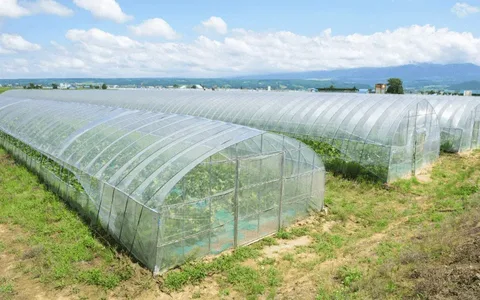 تصویر 3 از راهنمای خرید پلاستیک گلخانه ای + قیمت عالی